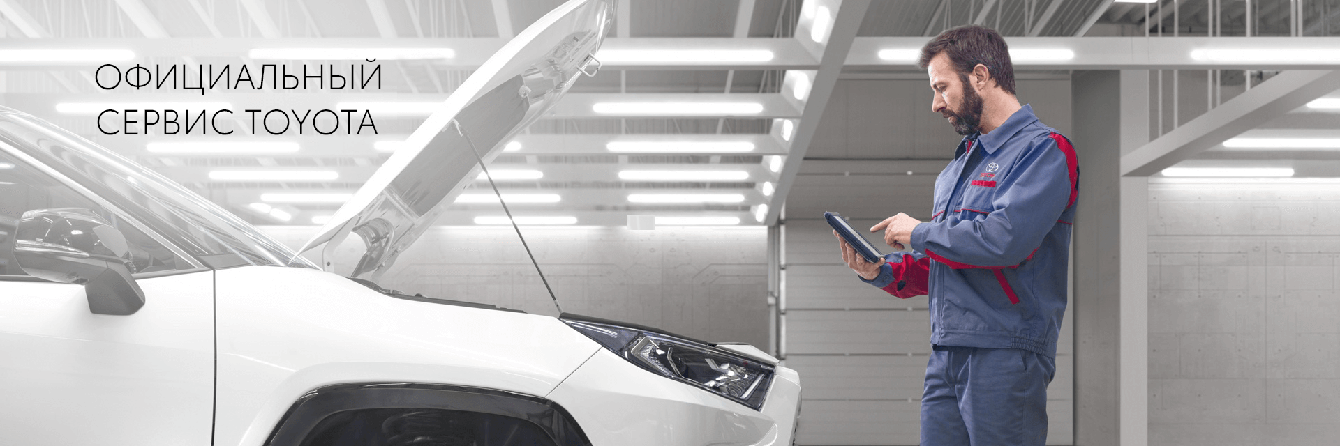 Изображение на странице Тойота Центр Волгоград — официальный дилер Toyota в Волгограде Тойота Центр Волгоград